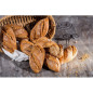 Bio Préparation Triticum, pain au petit épeautre