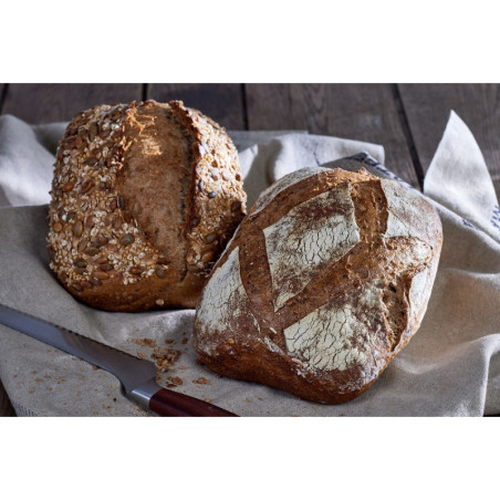 Bio Préparation Pavé aux graines