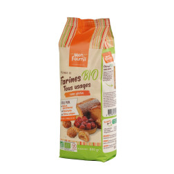 Farine bio tous usage sans gluten bio