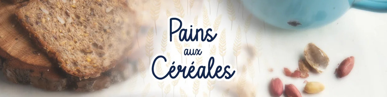 Pain Energus 10 | Pain Aux Céréales - Panadis
