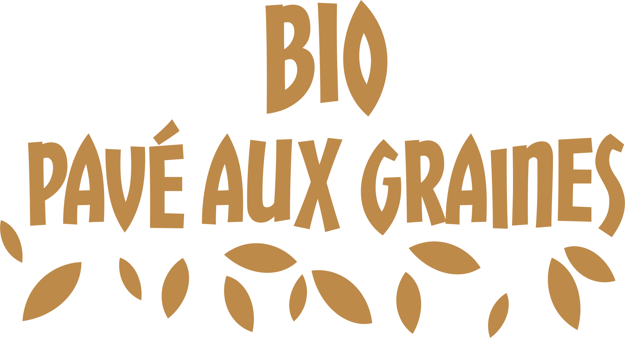 BIO PAVÉ AUX GRAINES (0060052) Logo (Cu