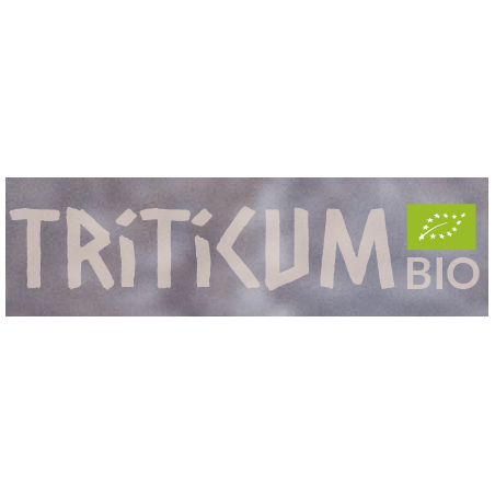 Triticum