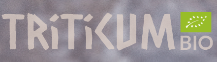 Triticum